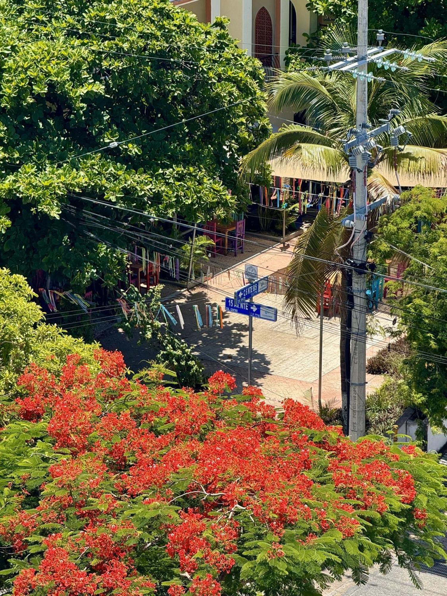 Mini Rooms By Illusion Playa del Carmen Exterior foto
